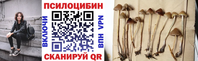 OMG вход  где продают   Мамадыш  Галлюциногенные грибы Psilocybine cubensis 
